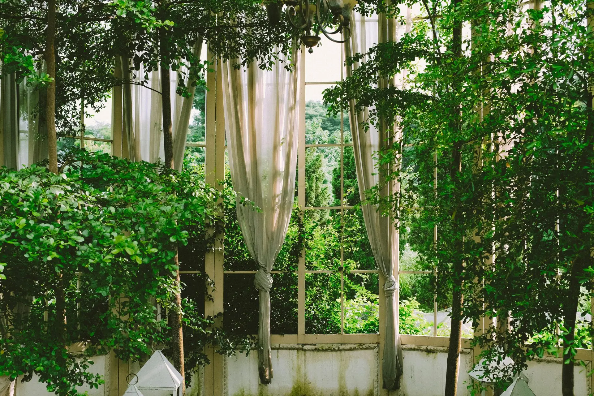 Interior Planting