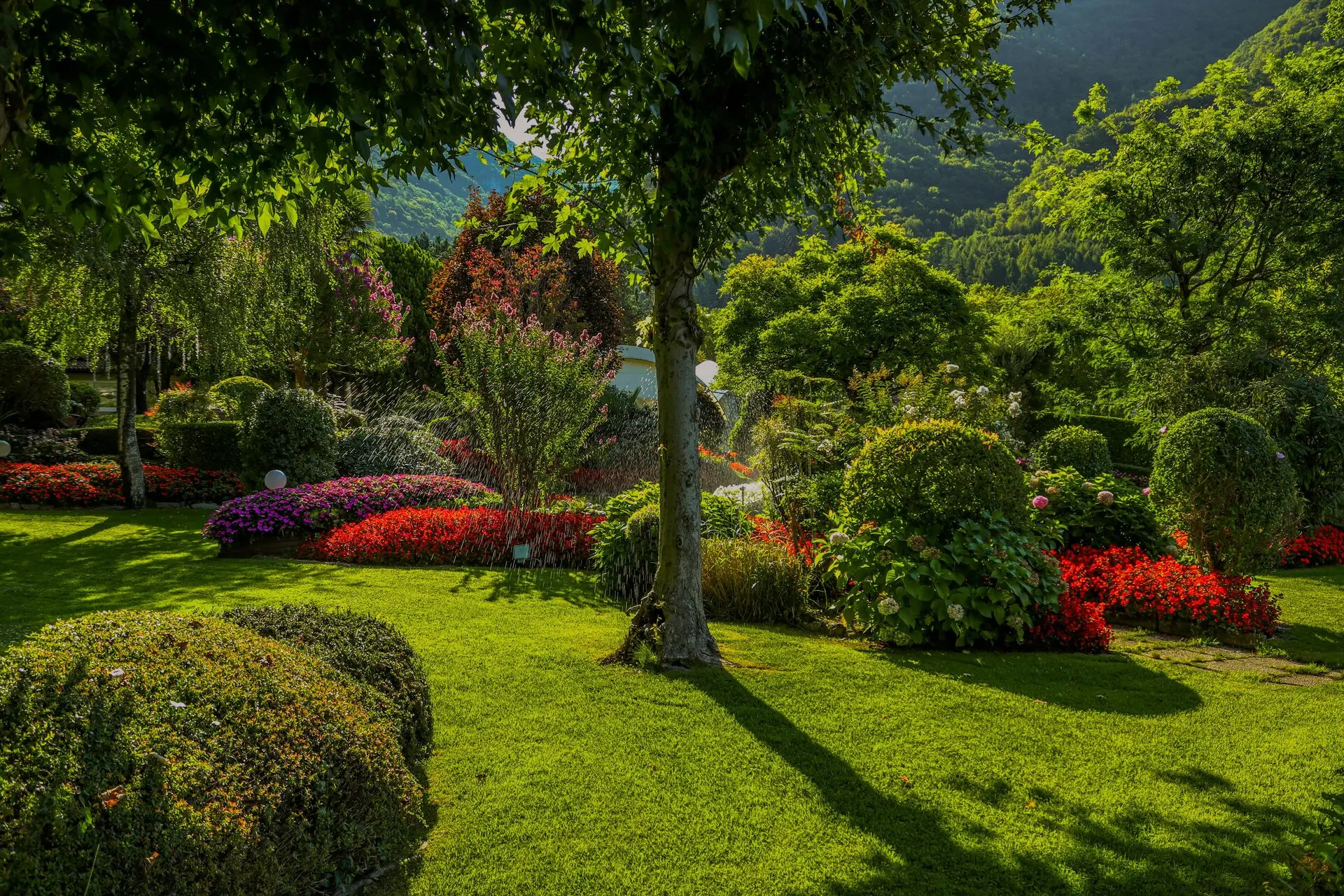 Landscaping