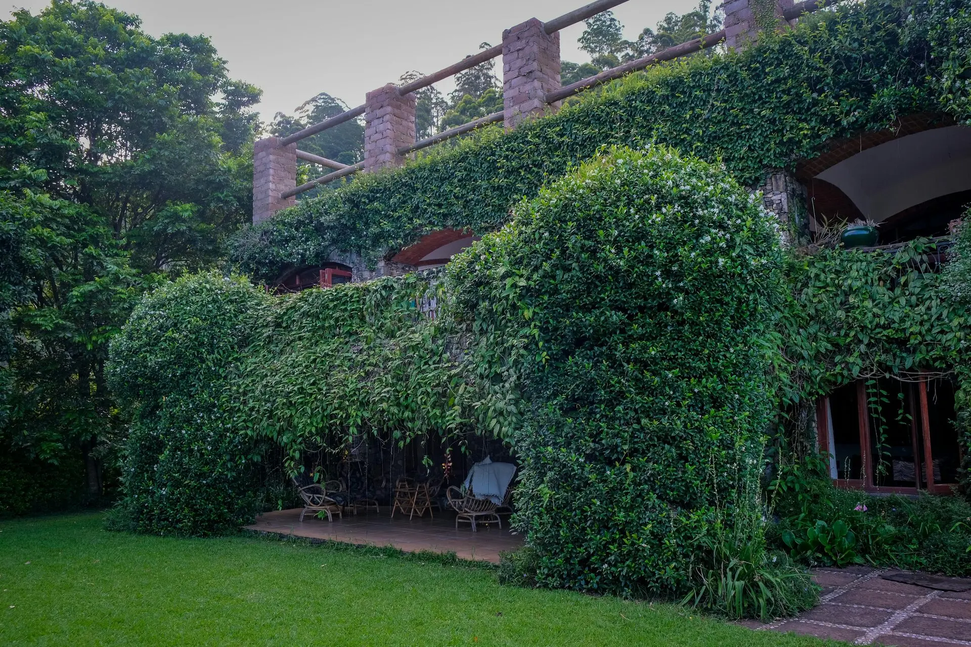 Vertical Garden